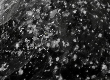 Schneeflocken Obsidian